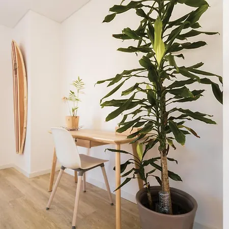 Best 29 - Apartamento Das Vinhas *